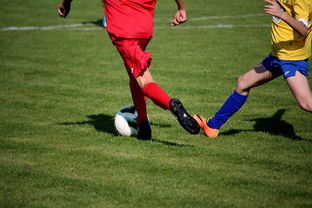 APP下载 LY Sports-仰泳大战美队领先毫厘之间，仰泳比赛视频欣赏