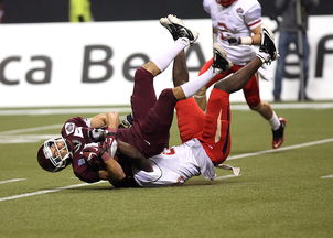 乐鱼(LEYU)体育-技术犯规引发的比赛走向大逆转,技术犯规意味着什么