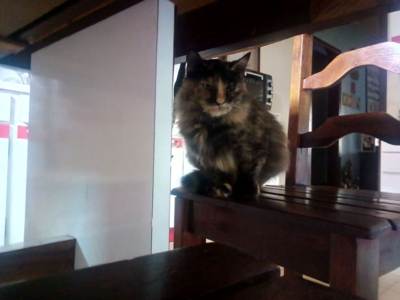 乐鱼电竞在线平台登录入口-利物浦刷新纪录英超联赛,利物浦英超2021