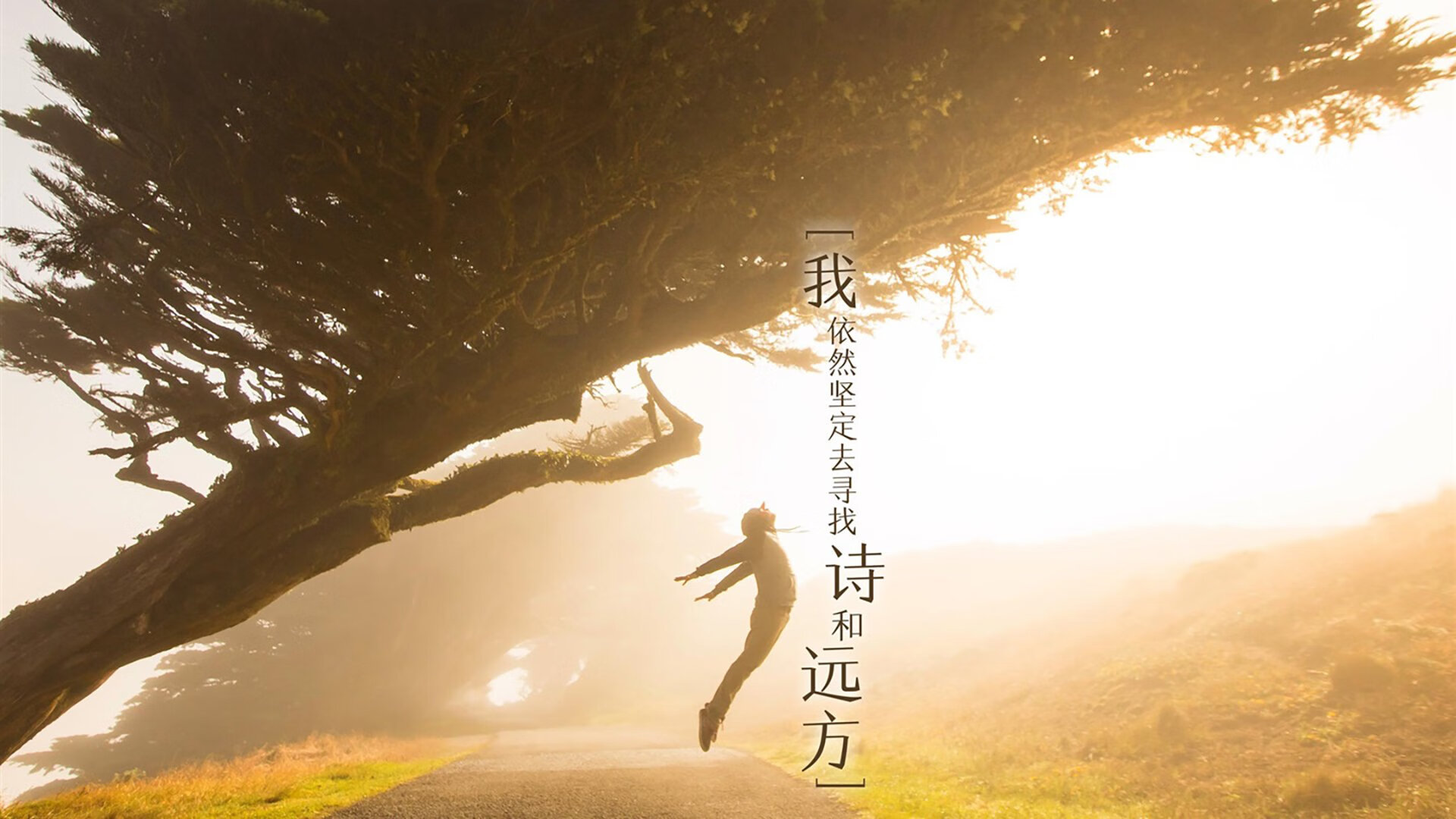 乐鱼体育平台app下载-卡普尔在比赛中的快速反应，帮助袋鼠队防守反击，卡普尔ms