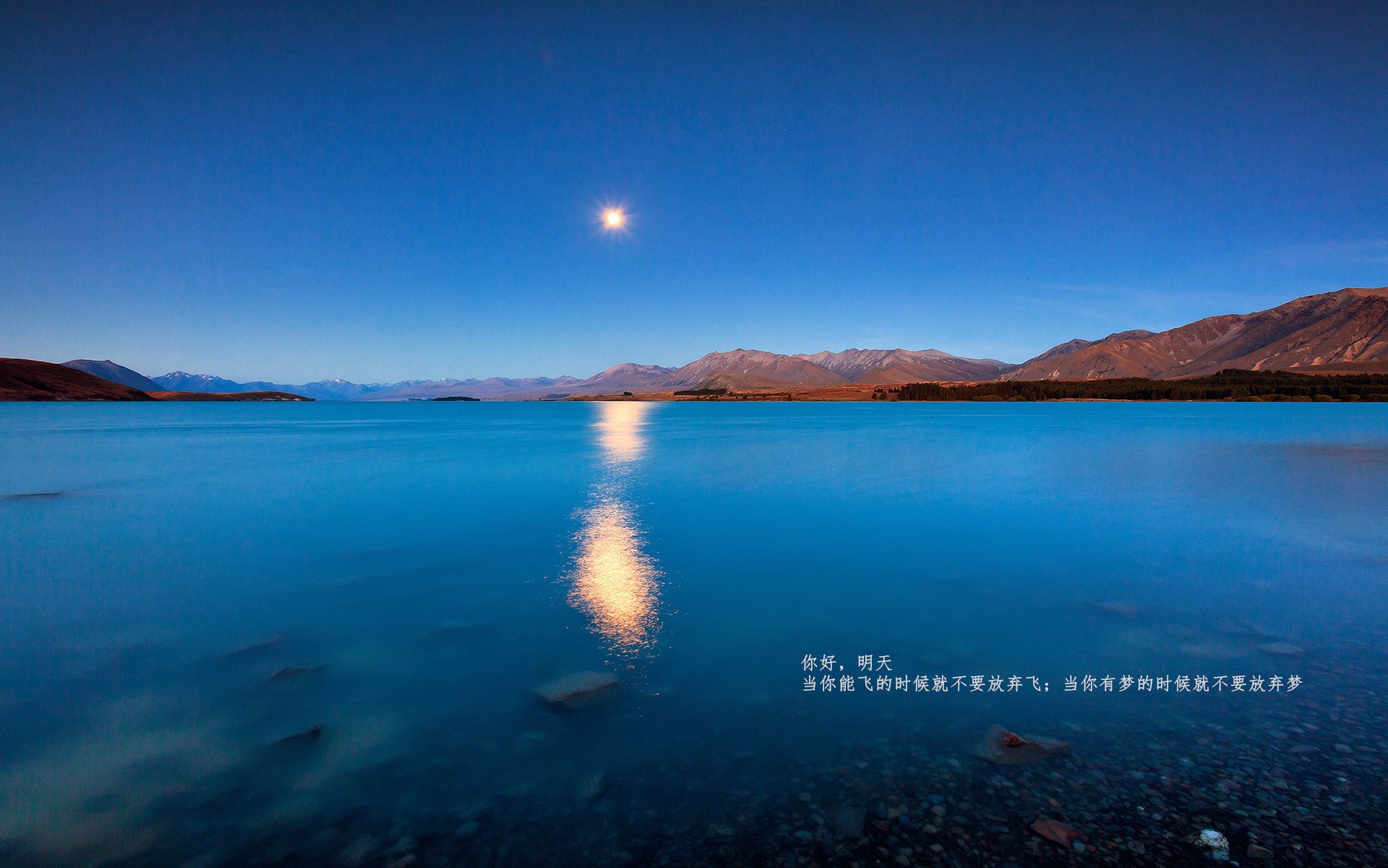 Leyu Sports (乐鱼体育)-意甲快速反击:瞬间突破,赢得满堂彩!,意甲对阵