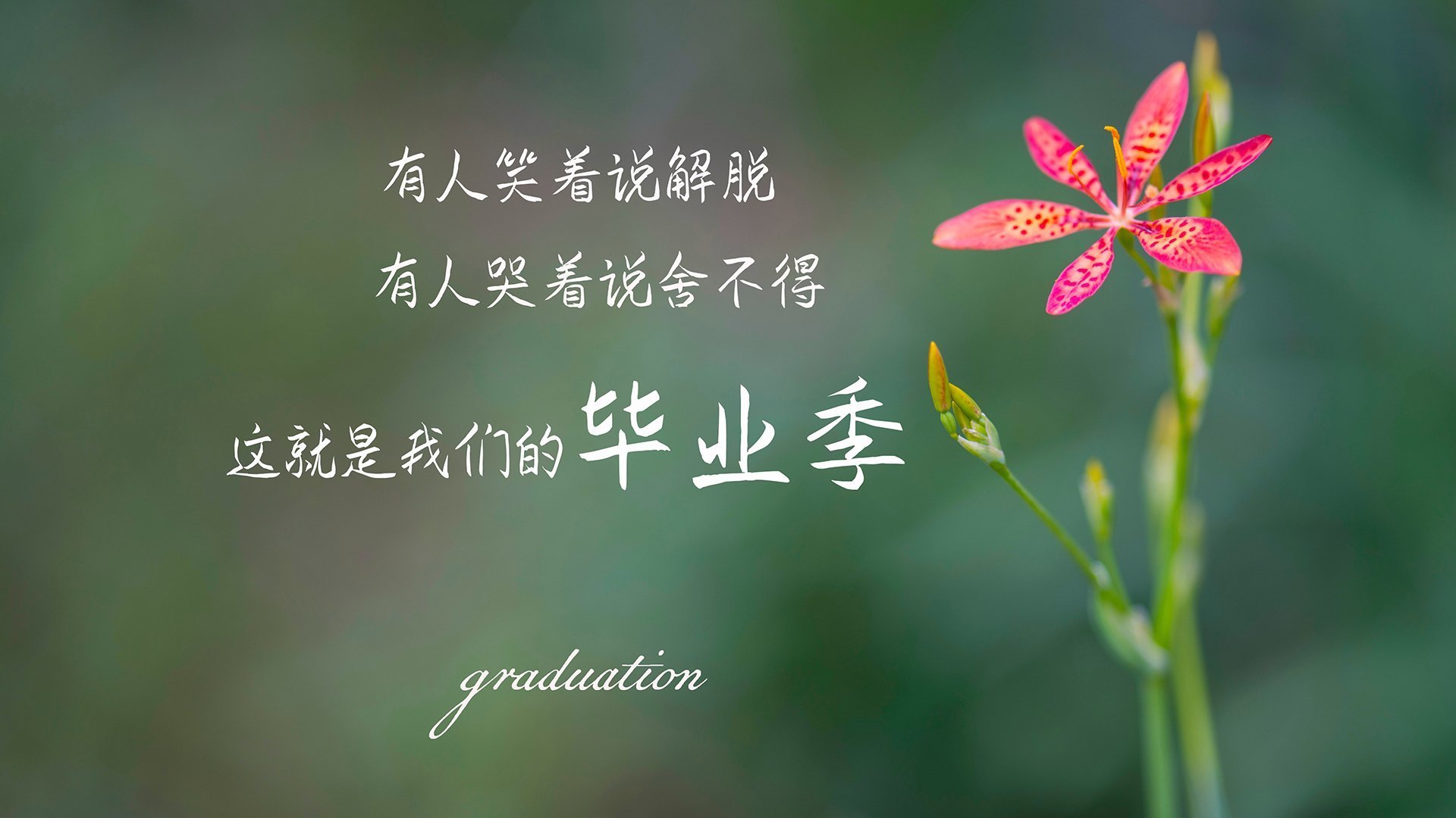 乐鱼电竞在线平台-掘金小将加练投篮展现稳定成长势头,掘金打法