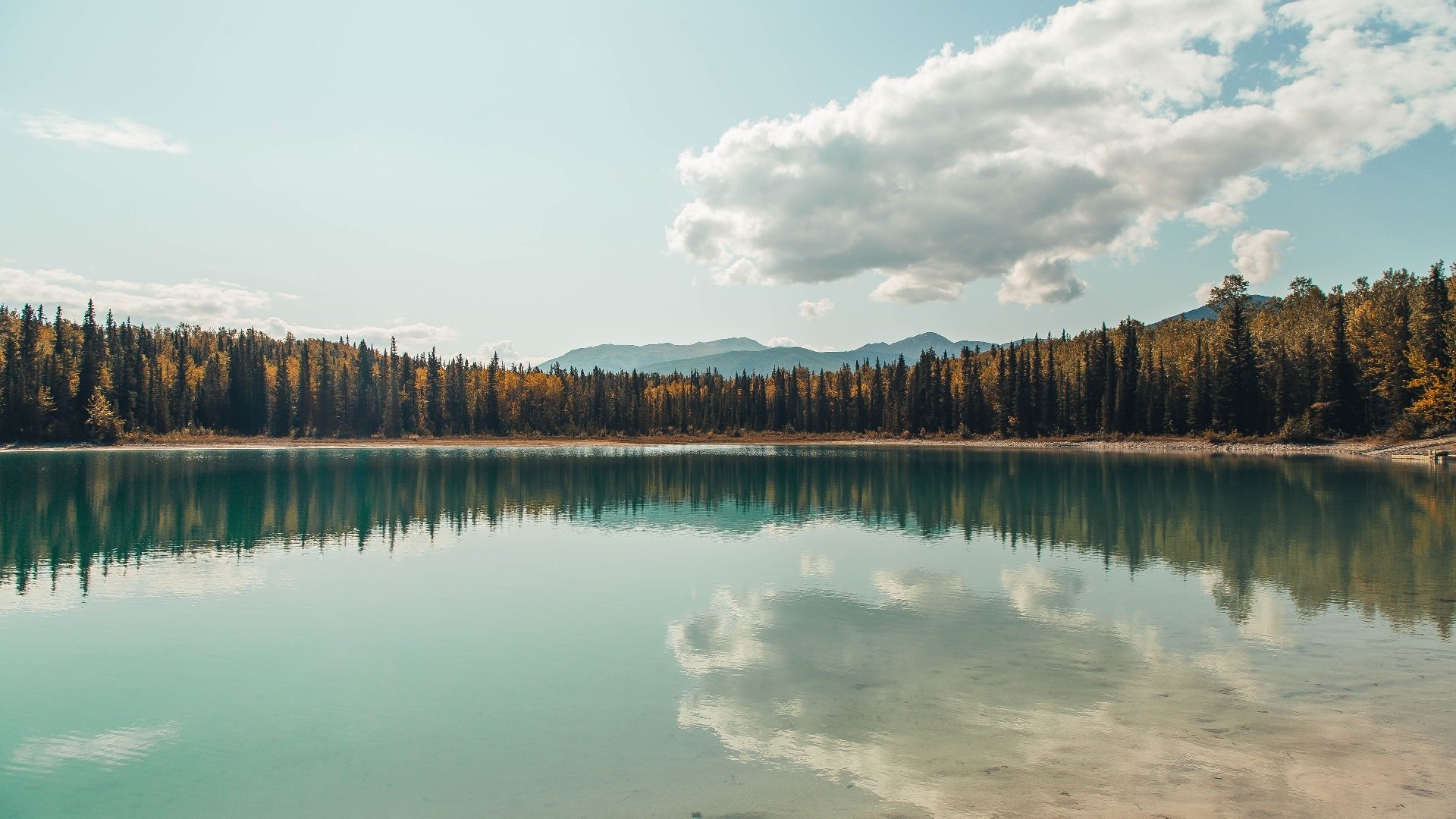 LEYU乐鱼体育官方网站-朱婷面对质疑表示更愿用表现回应，朱婷已经尽力