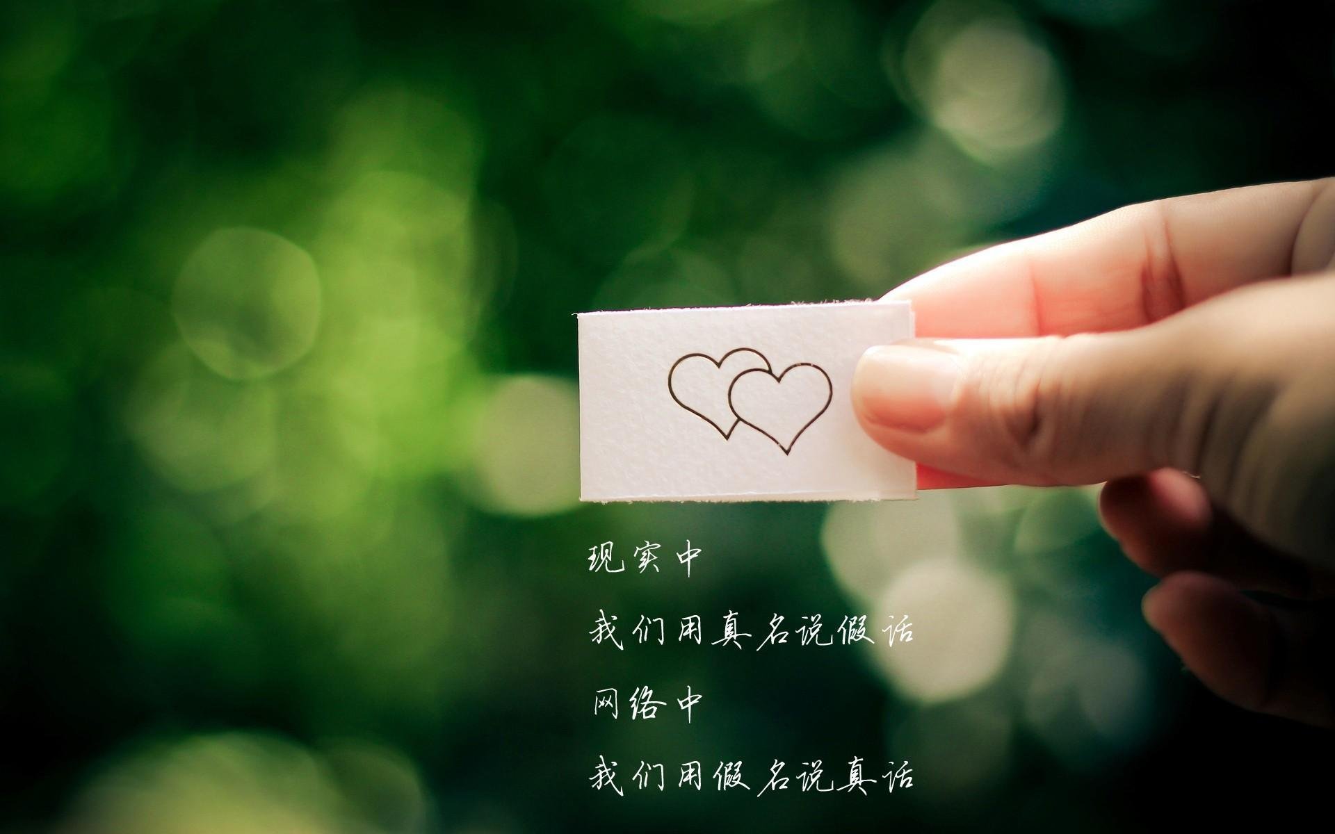 乐鱼官网-美洲杯明星集结:个人闪耀,团体巅峰!,美洲杯选手