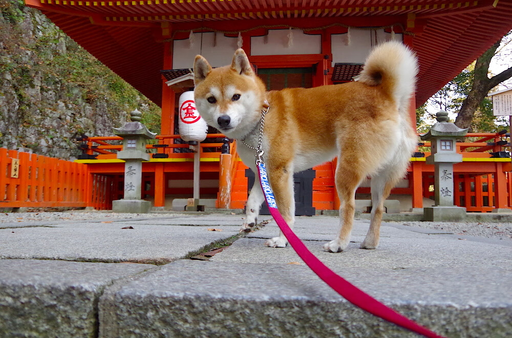 Leyu Sports (乐鱼体育)-英超激烈争夺:精彩纷呈,高潮连连!,zaker 英超